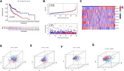 Cuproptosis-Related lncRNAs are Biomarkers of Prognosis and Immune Microenvironment in Head and Neck Squamous Cell Carcinoma